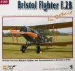 Bristol Fighter F.2B in detail