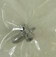 1/32 Curtiss Electric Propeller spinner/nut