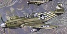 1/32  P-51A Air Commandos