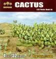 1/35 Cactus