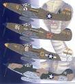 1/48  Airacobras at War Part III