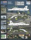 1/32 F/A-18B Casper and His Bandit Ghosts