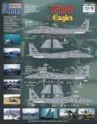 1/32 McDonnell-Douglas F-15C Eifel Eagle 36th TFW