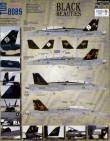 1/48 F/A-18B/D (2) 165684 CE/01 VMFA(AW)-225 Vikings; 163115 BH/