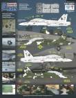 1/72 F/A-18B Casper and his Bandit Ghosts