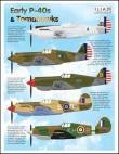 1/48 Early Curtiss P-40s and Tomahawks