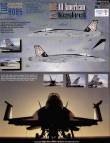 1/48 F/A-18E All-American Kestrel