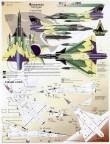 1/48 Amazonian Mirage IIIs. Brazilian Air Force