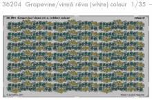 1/35 Grapevine/vinn� r�va (white) colour