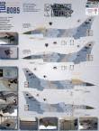 1/48 Lockheed Martin F-16C / F-16D Fighting Falcon Wolfpack Band