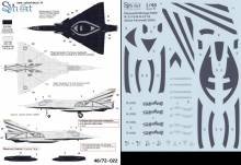1/48 Mirage IIIRS R-2110 & R-2116 Black & White