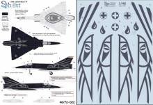 1/48 Mirage IIIRS R-2110 & R-2116 Black & White