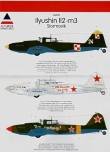 1/48 Ilyushin IL2-M3 Stormovik
