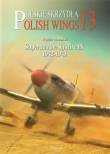 Polish Wings No.13 Supermarine Spitfire IX 1942-1943