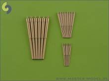 1/350 Admiral Graf Spee armament barrels (20 pcs.)