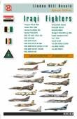1/72 Iraqi Fighters (30)
