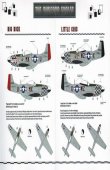 1/32 North-American P-51D Mustang. The Duxford Eagles.