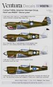 1/32 Curtiss P-40N