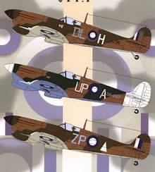 1/48  Aussie Mk.V Spitfires Pt I