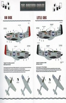 1/32 North-American P-51D Mustang. The Duxford Eagles.