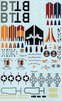 1/32 McDonnell-Douglas F-15C Eifel Eagle 36th TFW