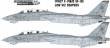 1/144 Grumman F-14B/F-14D Tomcat VF-101 low viz Grim Reapers