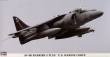 1/48 AV-8B Harrier II Plus