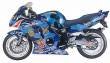 1/12 Honda CBR1100XX 'With Me'