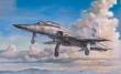 1/48 Northrop F-5F