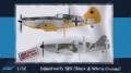 1/32 Dewoitine D.520 Black & White Crosses