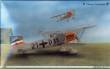 1/48 Heinkel He 51 Luftwaffe