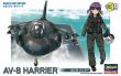 McDonnell-Douglas AV-8 Harrier 'Egg Plane'