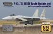 1/48    F-15J/DJ JASDF Eagle Update set