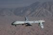 1/72 Drone MQ-1A/B Predator
