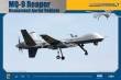 1/48 MQ-9 REAPER