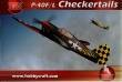 1/48 P-40F "Checkered Tails"