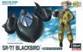 Lockheed SR-71 Blackbird 'Egg Plane'