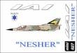 1/144 IAI "NESHER"