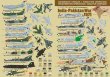 1/72 Forgott.Operations India-Pakistan War (1971)