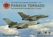 Panavia Tornado. The Tornado IDS/ECR (Luftwaffe) in the 21st Cen