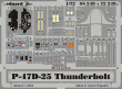 P-47D-25 Thunderbolt - (TAM)
