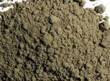 Green Earth Pigment