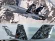 1/48 F/A-18C J-5011 "Tigermeet 2011" Staffel 11 - Swiss AF