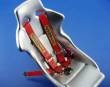 Eduard Sparco 4 points Red 1/24