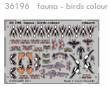 1/35 fauna - birds colour