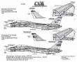 1/72 Grumman F-14A Tomcat VF-114, VF-1