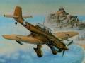 1/32 Junkers Ju 87R 'Stuka'