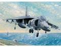 1/32 McDonnell-Douglas/British Aerospace AV-8B Harrier II