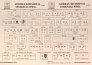 1/35 Decal German Divisional Insignias WWII