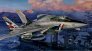 1/32 F-14D Super Tomcat